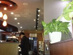 -猫屎咖啡(日月光中心广场店)