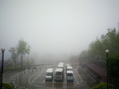 -王顺山国家森林公园