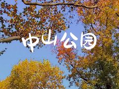 -中山公园