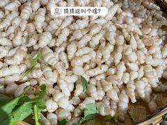 -昆虫窝子·特色云南菜(拓东路总店)