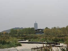 -永定河休闲森林公园