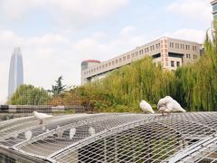 -泉城广场