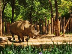 -北京野生动物园