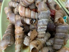 -贞姨美食·老字号海鲜大排档