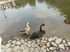 -白马涧龙池景区