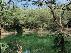 -红花湖景区