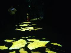 -茶博府公馆餐厅