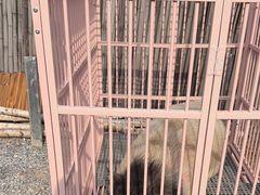 -小时光咖啡馆(开森度假森林店)