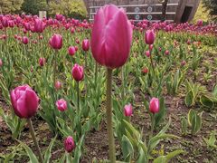 -长春公园(普阳街道)