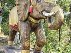 -瑞丽独树成林风景区