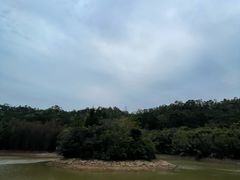 -滴水岩森林公园
