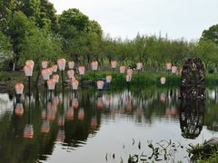 -长田漾湿地公园