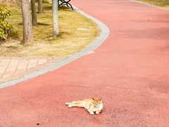 -汕头星城湾欢乐世界