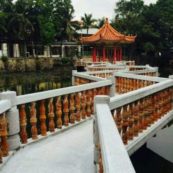 点击看大图 -爱帝宫通乳中心(福田总院)