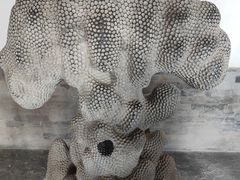 -莲池书院博物馆