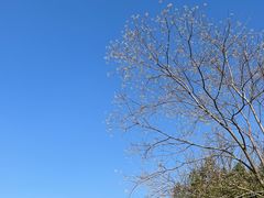 -九里河湿地公园