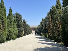 -中华三祖圣地黄帝城遗址文化旅游区