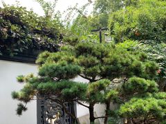 -东航云逸酒店(九溪烟树店)