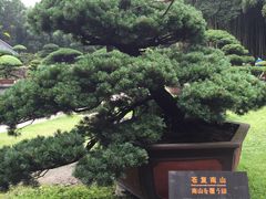 -水绘园