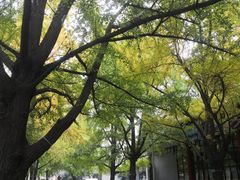 -四川大学(华西校区)