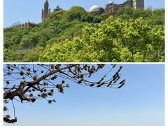 -上海佘山国家森林公园西佘山园