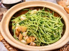 川香焗豆苗-廖川菜(金虹桥店)