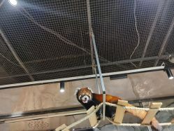 -Zoolung Zoolung动物主题公园(海信广场店)