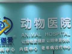 -美迦爱-牙专科·兔科·骨科诊疗中心(北苑店)