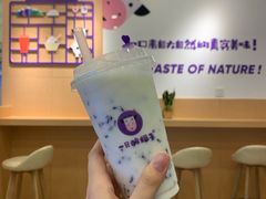 -一只酸奶牛(八一路店)