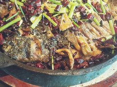 老板恋上鱼-老板恋上鱼(印象城店)