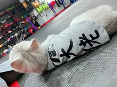 -TFC 纯泰拳馆MuayThai