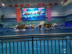 -多彩贵州城极地海洋世界