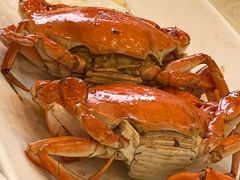 -阳江餐厅·30年老字号·粤菜海鲜大排档