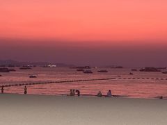 -卷心菜和避孕套餐厅(Pattaya)