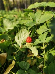 -大望京儿童游乐场