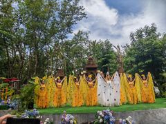 -西双版纳傣族园