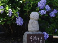 -日本大使馆-新闻文化中心