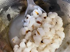 薏米水-绿柠食堂(北外滩店)