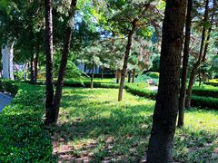 -黄村公园