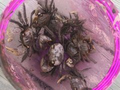 -吴淞炮台湾湿地森林公园烧烤区