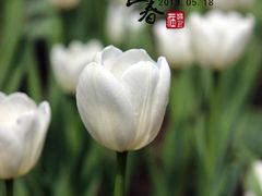 -长春公园(普阳街道)