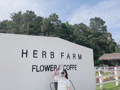 -大塘金香草谷