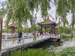 -长春市南湖公园