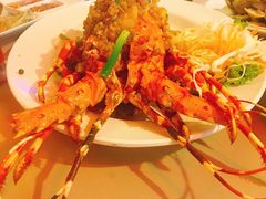 -Red Lobster