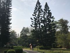 -四海公园(南山区)