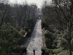 -灵谷景区