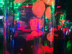 -贝林大翅鲸简餐厅(国家海洋博物馆店)