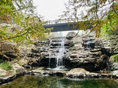 -国家植物园南园