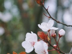 -南华大学(红湘校区)