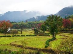 -塔川景区